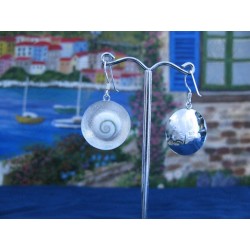 LE 0079 Earrings Shiva Eye Shell Silver