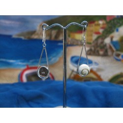 LE 0098 Earrings Shiva Eye Shell Silver