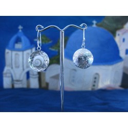 LE 0109 Earrings Shiva Eye Shell Silver