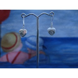 LE 0139 Earrings Shiva Eye Shell Silver