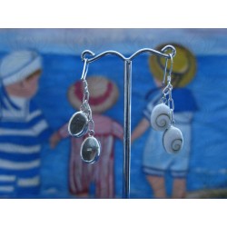 LE 0189 Earrings Shiva Eye Shell Silver