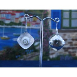 LE 0202ro Earrings Shiva Eye Shell Silver