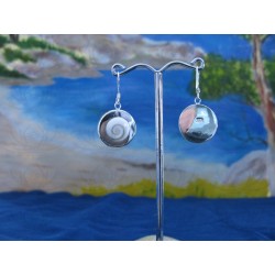 LE 0223 Earrings Shiva Eye Shell Silver