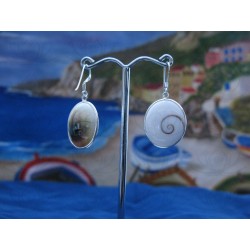 LE 0281 Earrings Shiva Eye Shell Silver