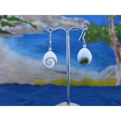 LE 0294 Earrings Shiva Eye Shell Silver