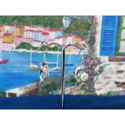 LE 0378 Earrings Shiva Eye Shell Silver