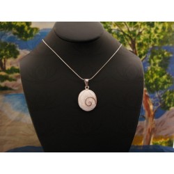 SP 0199 Pendant Shiva Eye Shell Silver