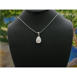 SP 0240 Pendant Shiva Eye Shell Silver