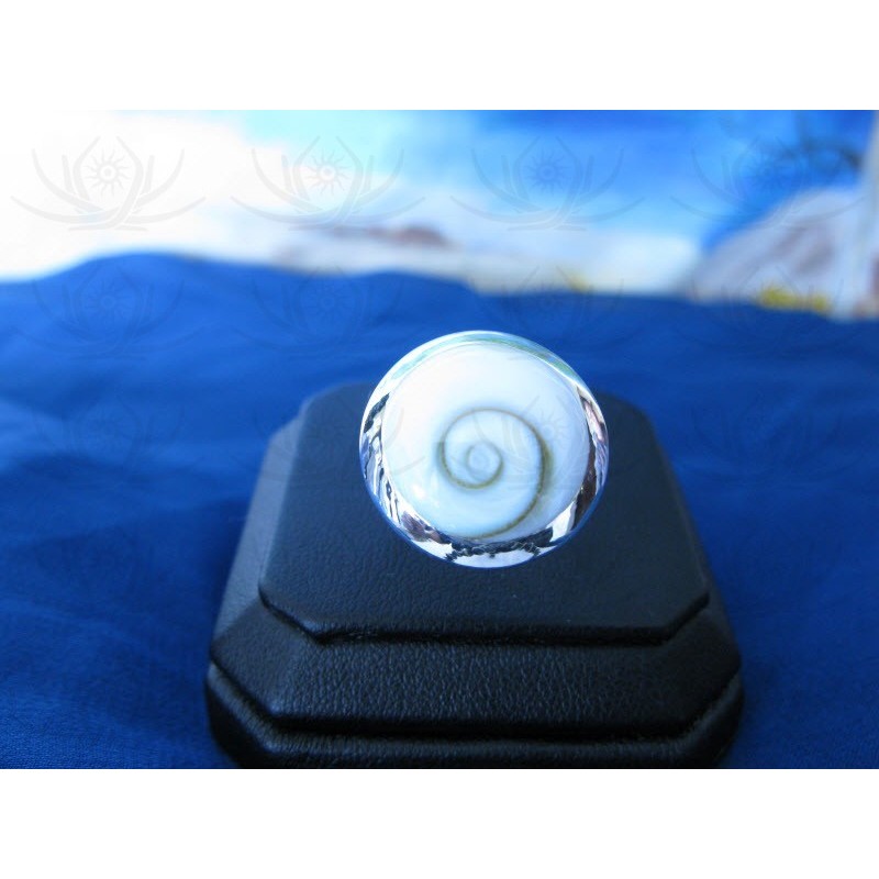 SR 0028 Ring Shiva Eye Shell Silver