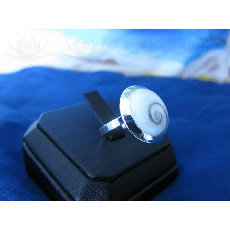 SR 0028 Ring Shiva Eye Shell Silver
