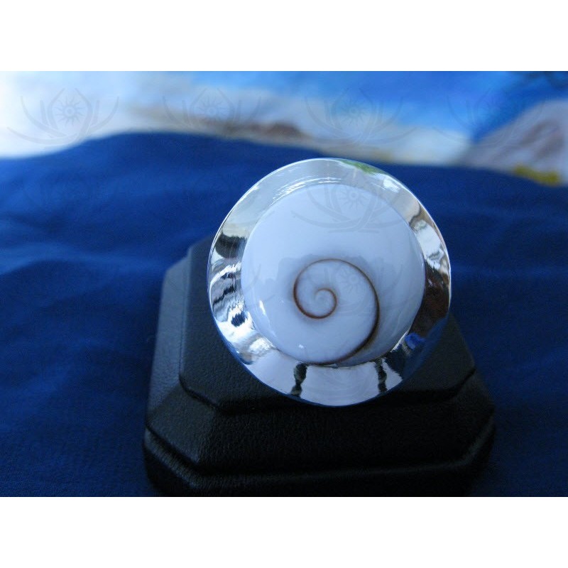 SR 0043 Ring Shiva Eye Shell Silver