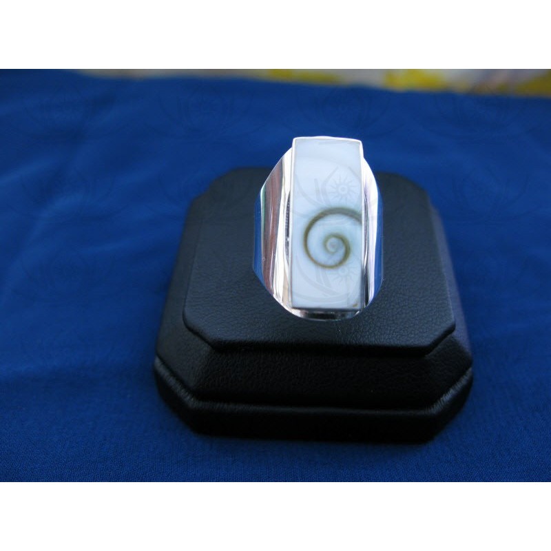 SR 0119 Ring Shiva Eye Shell Silver