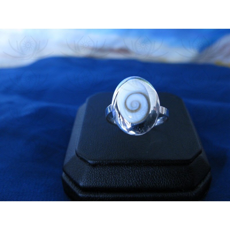 SR 0155 Ring Shiva Eye Shell Silver